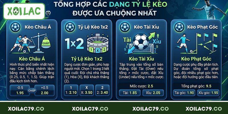 Tỷ Lệ Kèo - Cập Nhật Chuẩn Xác, Phân Tích Chi Tiết Mỗi Ngày 62 Tổng hợp các dạng tỷ lệ kèo được ưa chuộng nhất